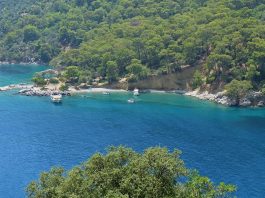 Fethiye Darboğaz Koyu – Nerede, Nasıl Gidilir? Fethiye Darboğaz Koyu nerede