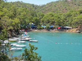 Katrancı Koyu Orman Kampı 2026 Fiyatları | Tabiat Parkı Fethiye gezilecek yerler