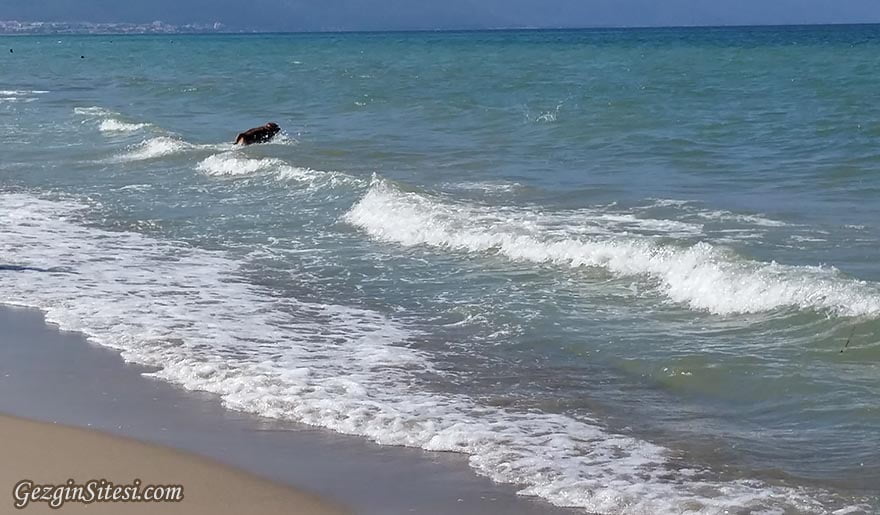 Kuşadası uzun plaj