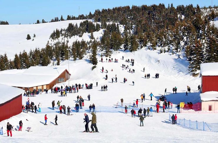 Ordu çambaşı Kayak merkezi fiyatları