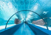 Antalya Akvaryum Fiyatları 2026 | Aquarium Giriş Ücreti Antalya akvaryum giriş ücreti