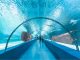 Antalya Akvaryum Fiyatları 2026 | Aquarium Giriş Ücreti Antalya akvaryum giriş ücreti