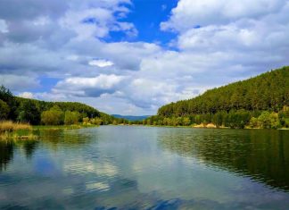 Çamkoru Tabiat Parkı Göleti Nerede, 2025 Giriş Ücreti, Kamp, Ulaşım Çamkoru Tabiat Parkı nerede