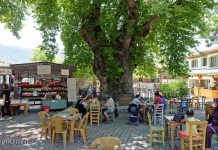 Marmaris Bayır Köyü | Nerede, Nasıl Gidilir, Fotoğrafları Marmaris Bayır köyü nerede