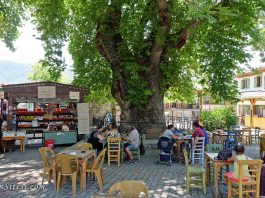 Marmaris Bayır Köyü | Nerede, Nasıl Gidilir, Fotoğrafları Marmaris Bayır köyü nerede