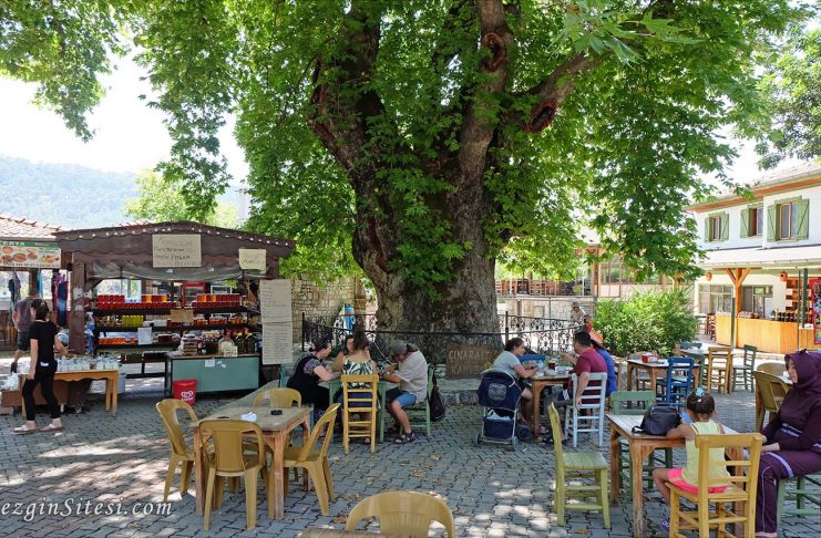 Marmaris Bayır köyü nerede