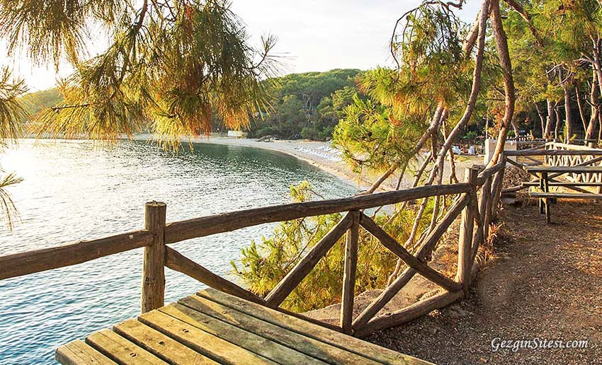 Alanya kamp alanı nerede