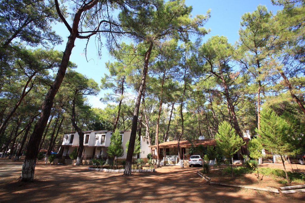 Datça aktur kamping nerede nasıl gidilir