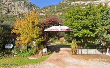Kaş Olympos Mocamp Fiyatları Antalya Kaş Olympos Mocamp fiyatları