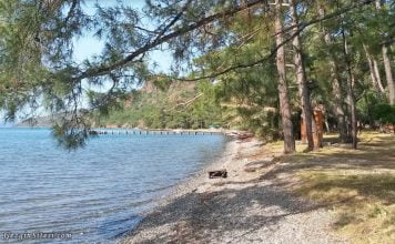Çubucak Orman Kampı 2026: Güncel Fiyatlar, Yorumlar ve Rehber | Marmaris Çubucak Orman Kampı fiyat listesi