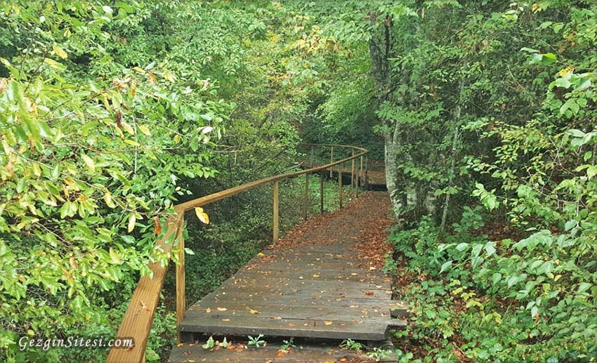 kastamonu küre dağları