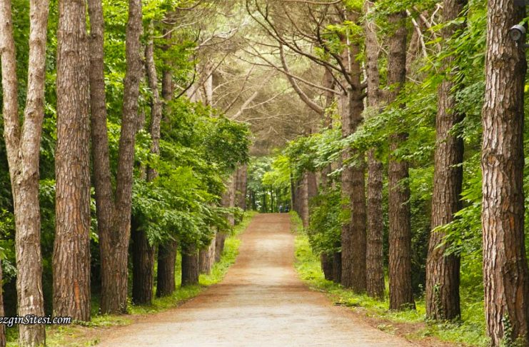 Atatürk Arboretumu giriş ücreti
