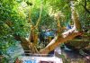 Ulupınar Antalya Kemer Ulupınar Antalya Kemer Çıralı