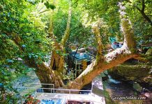 Ulupınar Antalya Kemer Ulupınar Antalya Kemer Çıralı