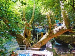 Ulupınar Antalya Kemer Çıralı