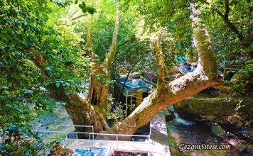 Ulupınar Antalya Kemer Ulupınar Antalya Kemer Çıralı