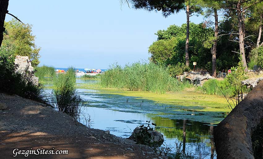 olympos plajı