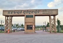 Sevgi Çiçeği Millet Bahçesi Nerede Nasıl Gidilir? ankarasevgi çiçeği millet bahçesi mogan park