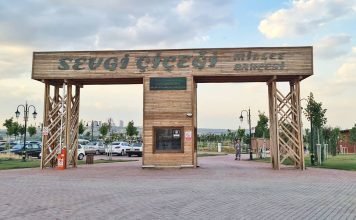 Sevgi Çiçeği Millet Bahçesi Nerede Nasıl Gidilir? ankarasevgi çiçeği millet bahçesi mogan park