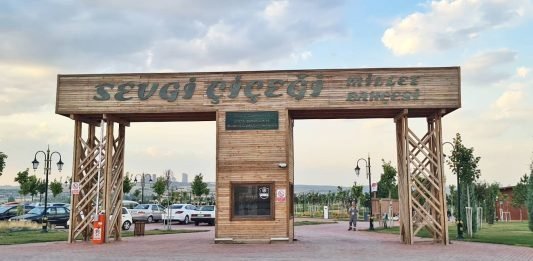 ankarasevgi çiçeği millet bahçesi mogan park