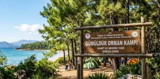 Ege’nin Kalbinde Bir Mola: Gümüldür Orman Kampı Gezi Rehberi Gümüldür Orman Kampı çadır, giriş ücreti