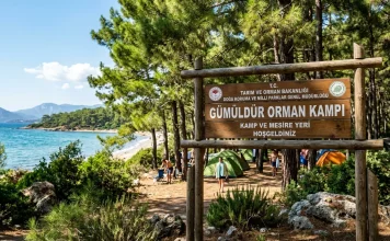 Ege’nin Kalbinde Bir Mola: Gümüldür Orman Kampı Gezi Rehberi Gümüldür Orman Kampı çadır, giriş ücreti