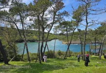 Sinop Gezilecek Yerler: Karadeniz’in En Kuzeyinde Unutulmaz Bir Rota sinop gezilecek yerler hamsilos koyu