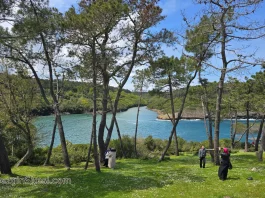 sinop gezilecek yerler hamsilos koyu