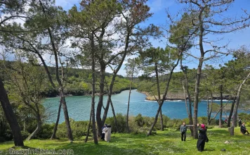 Sinop Hamsilos Koyu: Türkiye’nin Tek Fiyordunda Yeşile ve Maviye Doyun sinop gezilecek yerler hamsilos koyu