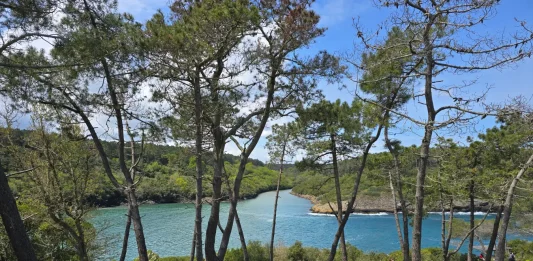 sinop gezilecek yerler hamsilos koyu