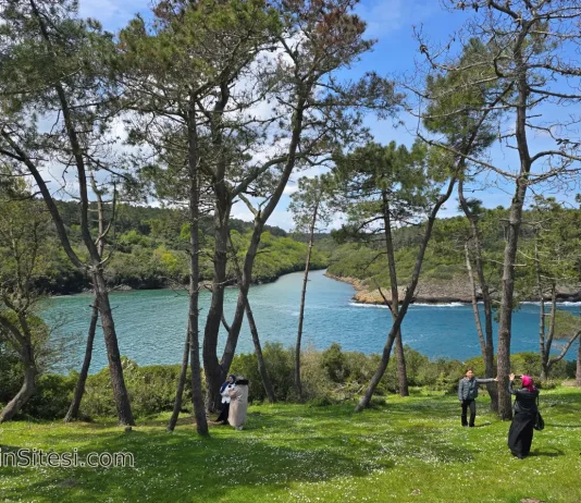 Sinop Gezilecek Yerler: Karadeniz’in En Kuzeyinde Unutulmaz Bir Rota sinop gezilecek yerler hamsilos koyu