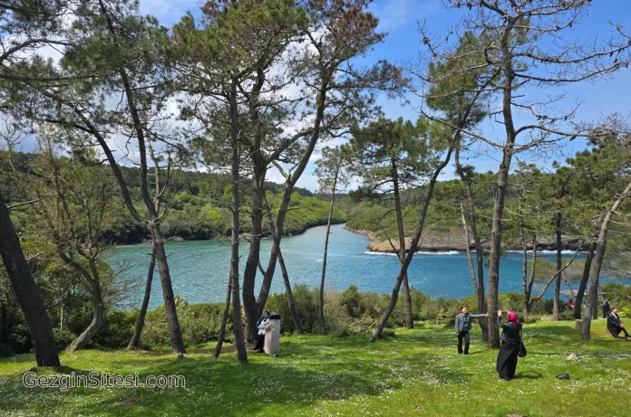 sinop gezilecek yerler hamsilos koyu