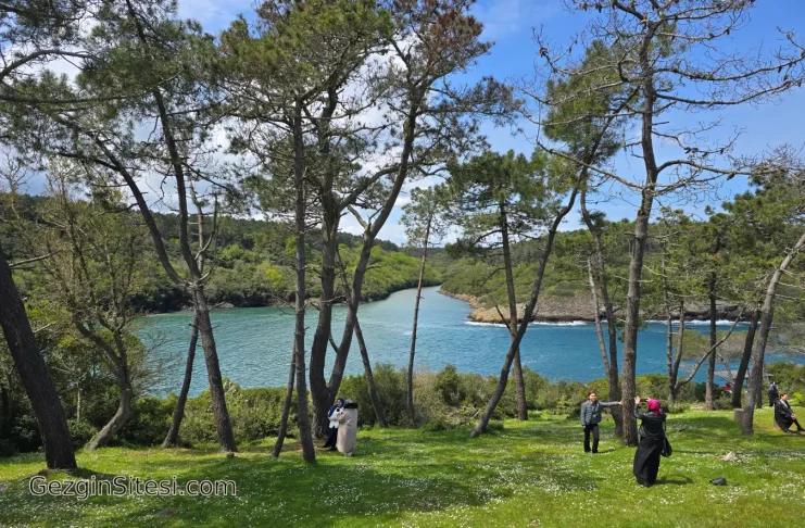 sinop gezilecek yerler hamsilos koyu