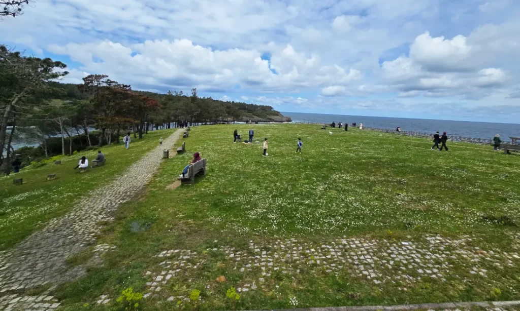sinop hamsilos koyu
